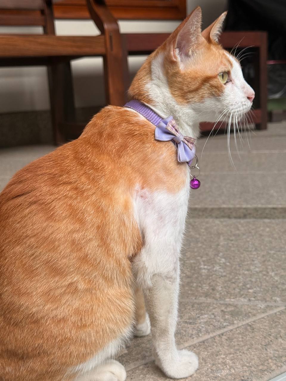 รายละเอียด